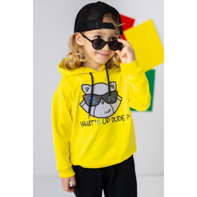 Boys' Cat Embroidered Hooded Sweatshirt