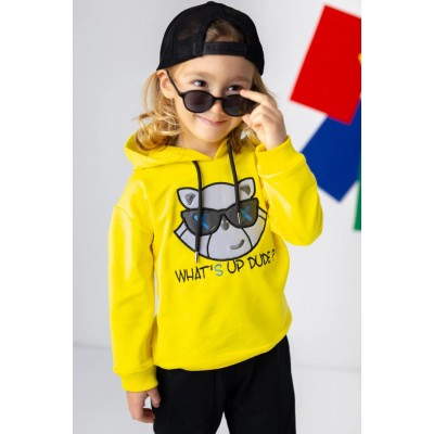 Boys' Cat Embroidered Hooded Sweatshirt