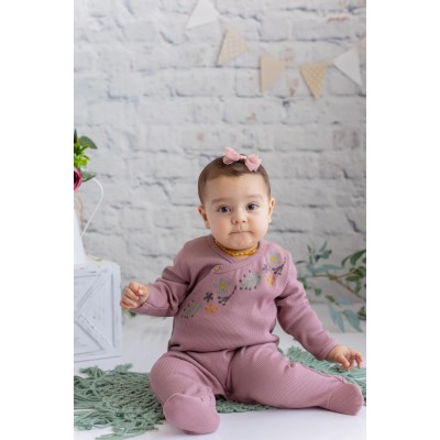 Baby Girl Embroidered Ribbed Footed Jumpsuit